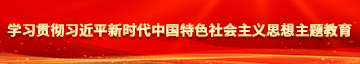 吊差比视频学习贯彻习近平新时代中国特色社会主义思想主题教育